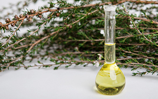 Great Ways to Use Your Mānuka Oils