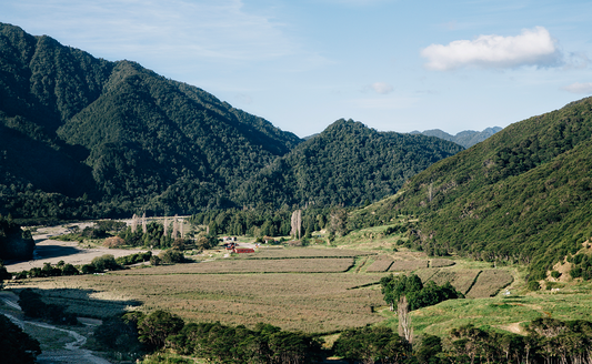 News Report: New Zealand Manuka Group on bringing sustainability centre stage