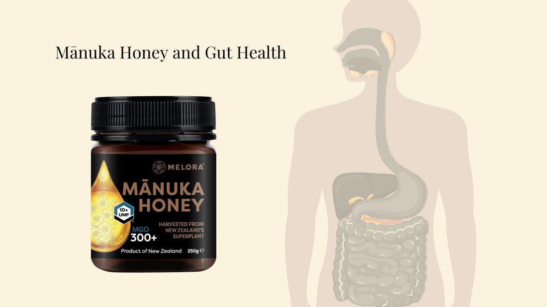 Manuka Honey and gut health graphic