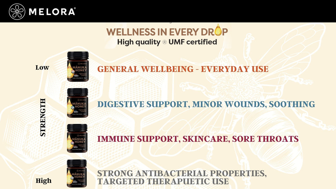 UMF Manuka Honey strength guide