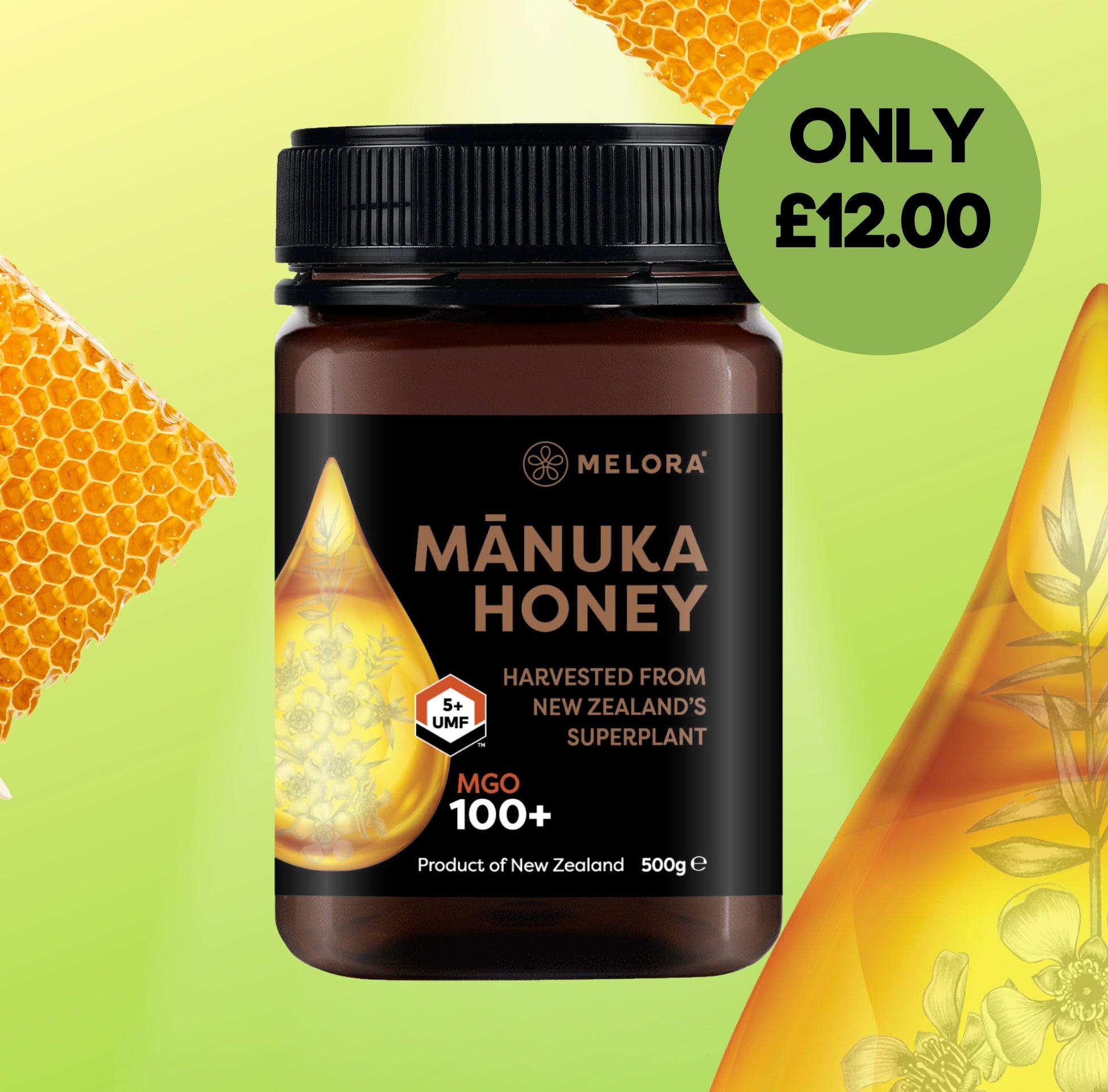 Mānuka Honey 100+ MGO 500g expires 02/2026 - Melora UK