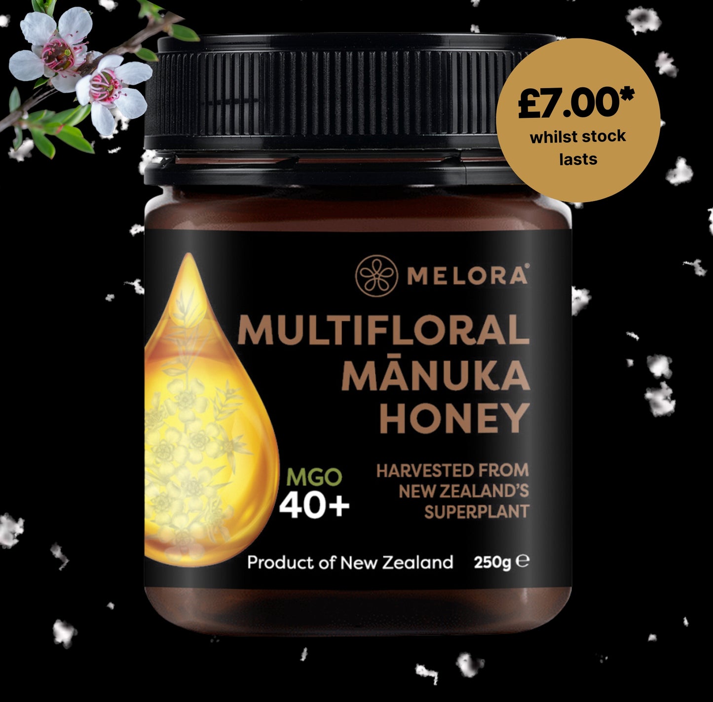 Mānuka Honey 40+ MGO 250g - Melora