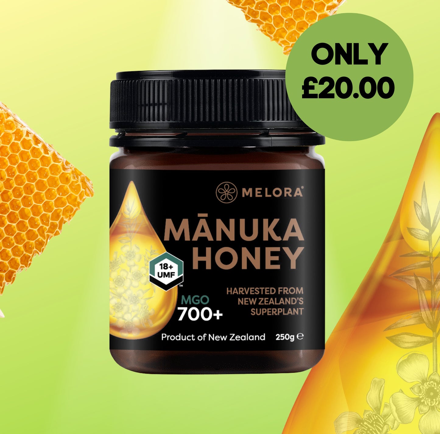 Mānuka Honey 700+ MGO 250g Expires 7/25 - Melora UK