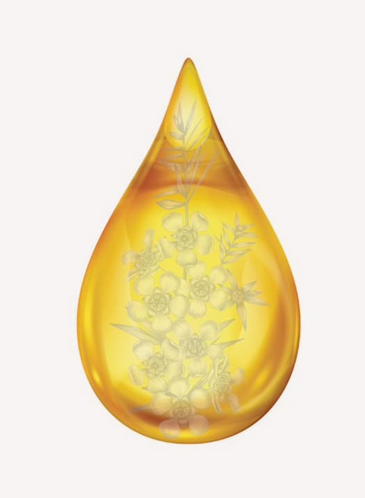 drop of honey