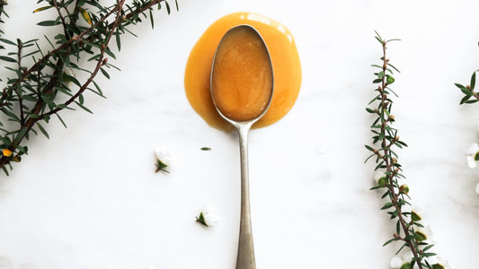 How Mānuka Honey Is Made: From Flower to Jar