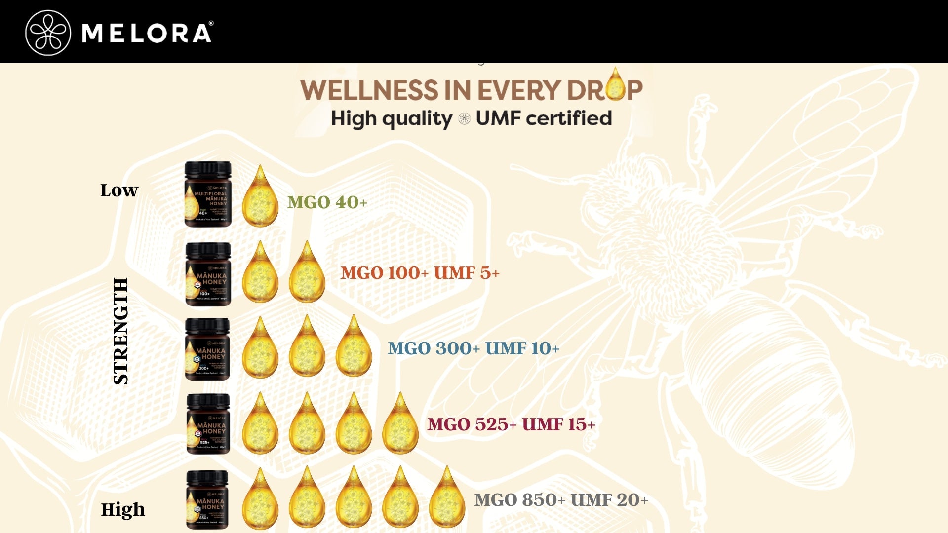UMF vs MGO: Understanding Mānuka Honey Ratings – Melora UK