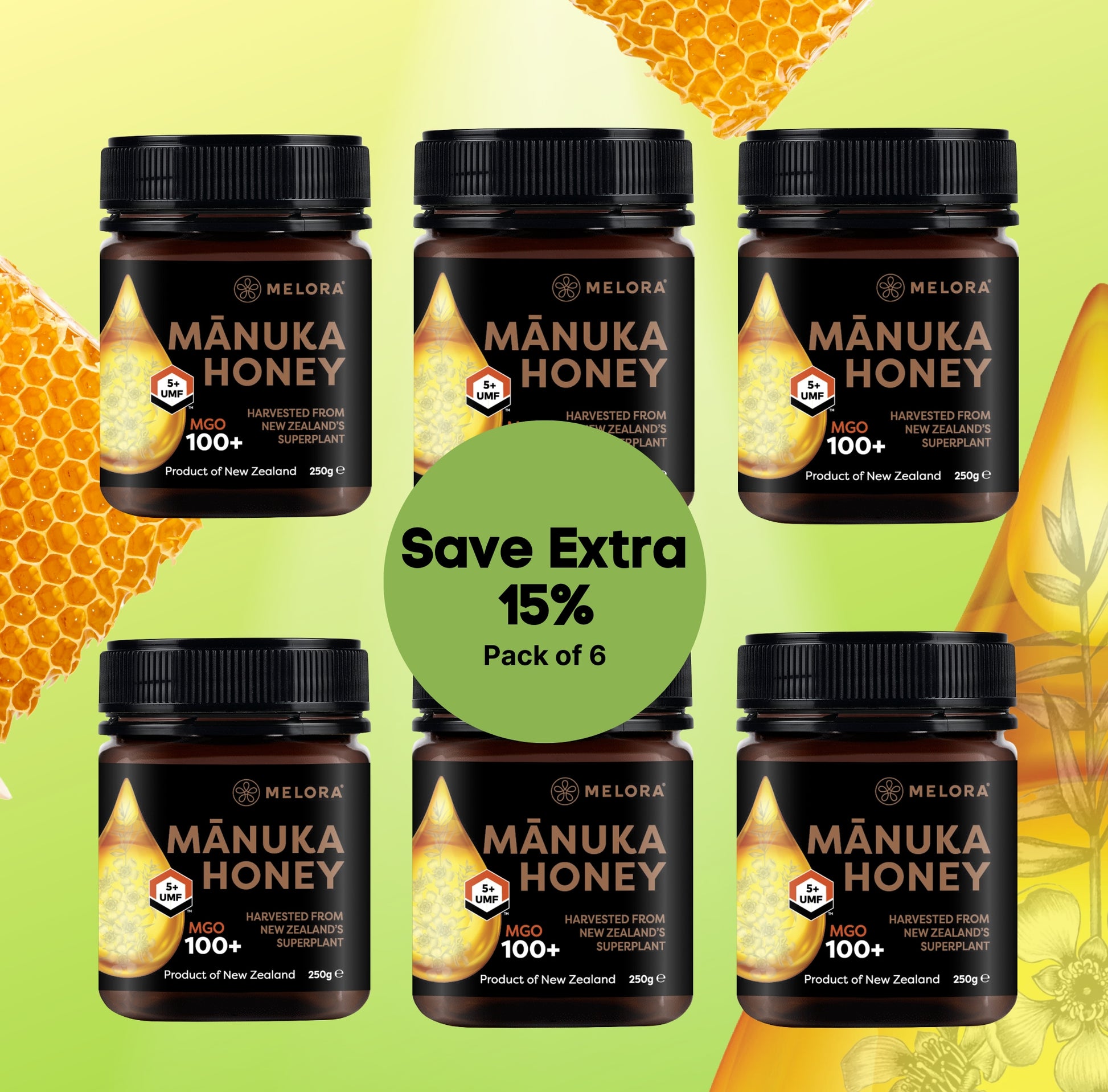 Pack of 6 Mānuka Honey 100+ MGO 250g - Expires Feb 2026 - Melora UK