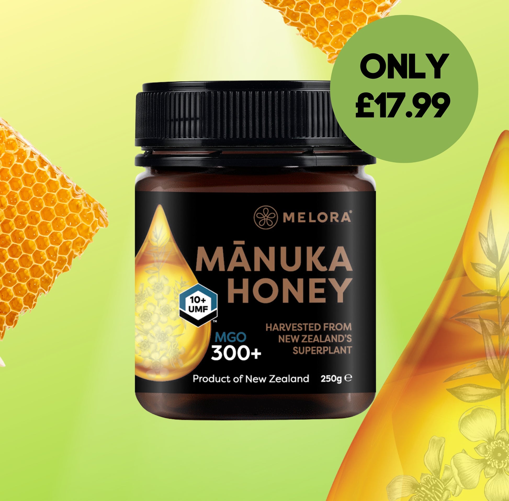 Mānuka Honey 300+ MGO 250g -  Expires Feb 2026 - Melora UK