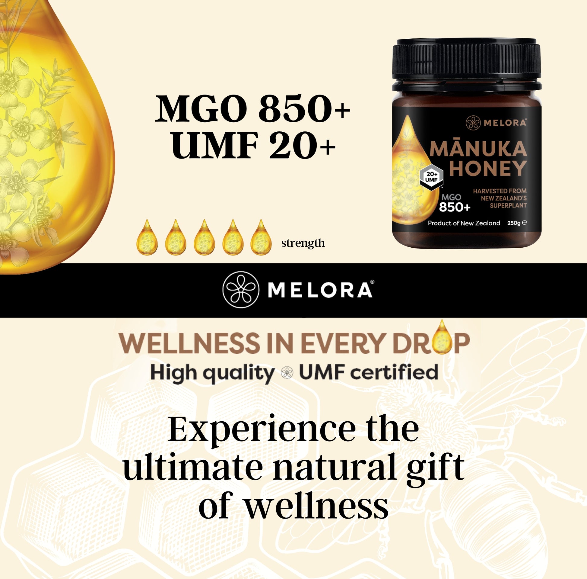 Manuka honey strength graphic 